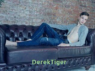 DerekTiger