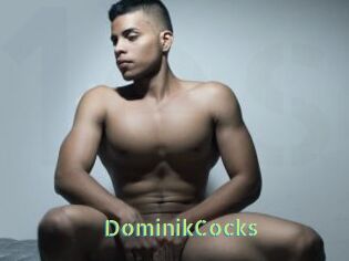 DominikCocks Une Etudiante Sexy