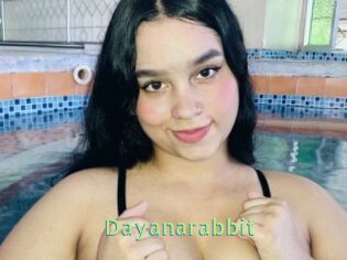 Dayanarabbit