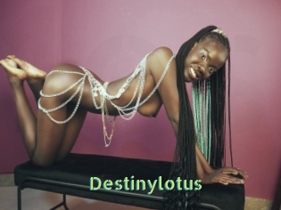 Destinylotus