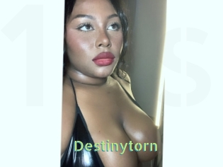 Destinytorn