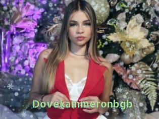 Dovekammeronbgb