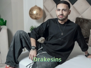 Drakesins