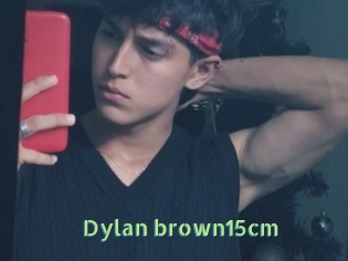 Dylan_brown15cm