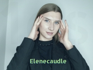 Elenecaudle