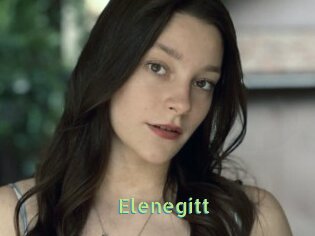 Elenegitt