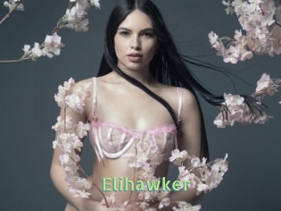 Elihawker