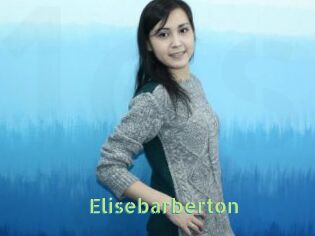 Elisebarberton