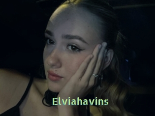 Elviahavins