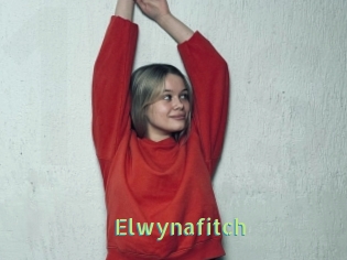 Elwynafitch