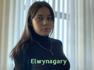 Elwynagary