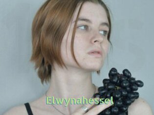 Elwynahessel