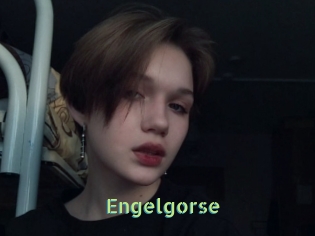 Engelgorse