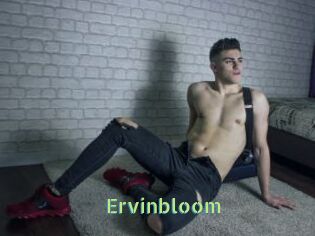 Ervinbloom