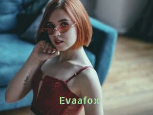 Evaafox