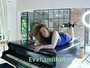 Evehamilton