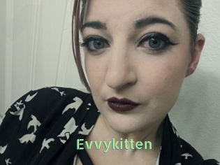 Evvykitten