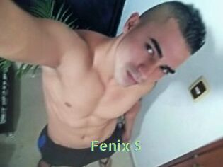 Fenix_S