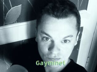 Gayminet