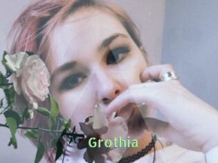 Grothia