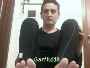 Garfild18