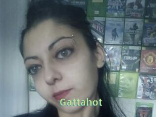 Gattahot