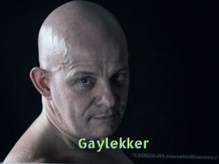 Gaylekker