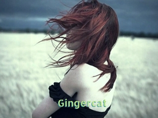 Gingercat