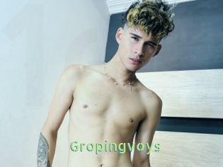 Gropingvoys