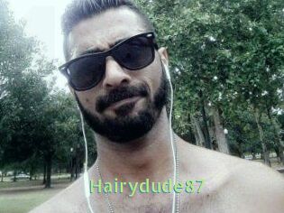 Hairydude87