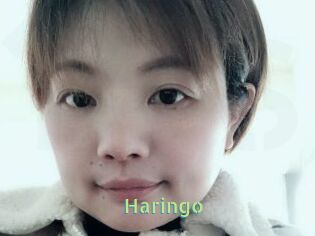 Haringo