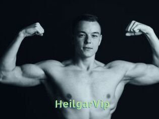 HeilgarVip