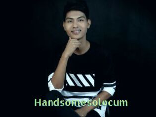 Handsomesolocum