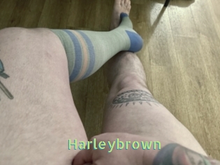 Harleybrown