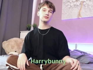 Harrybunny