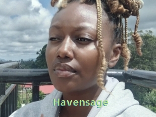 Havensage