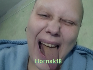 Hornak18