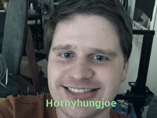 Hornyhungjoe