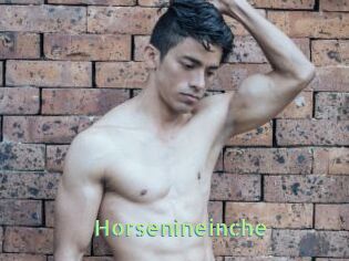 Horsenineinche