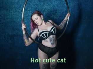 Hot_cute_cat