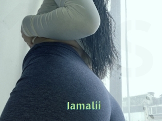 Iamalii