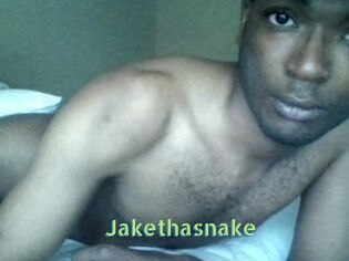 Jake_tha_snake