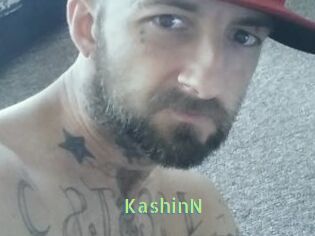 KashinN