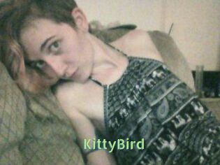 KittyBird