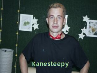 Kanesteepy