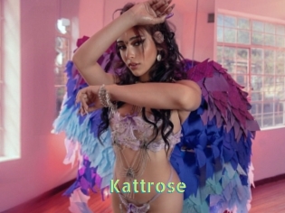 Kattrose