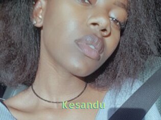 Kesandu