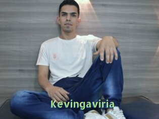 Kevingaviria