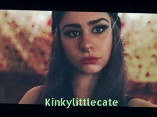 Kinkylittlecate