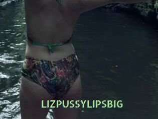LIZPUSSYLIPSBIG